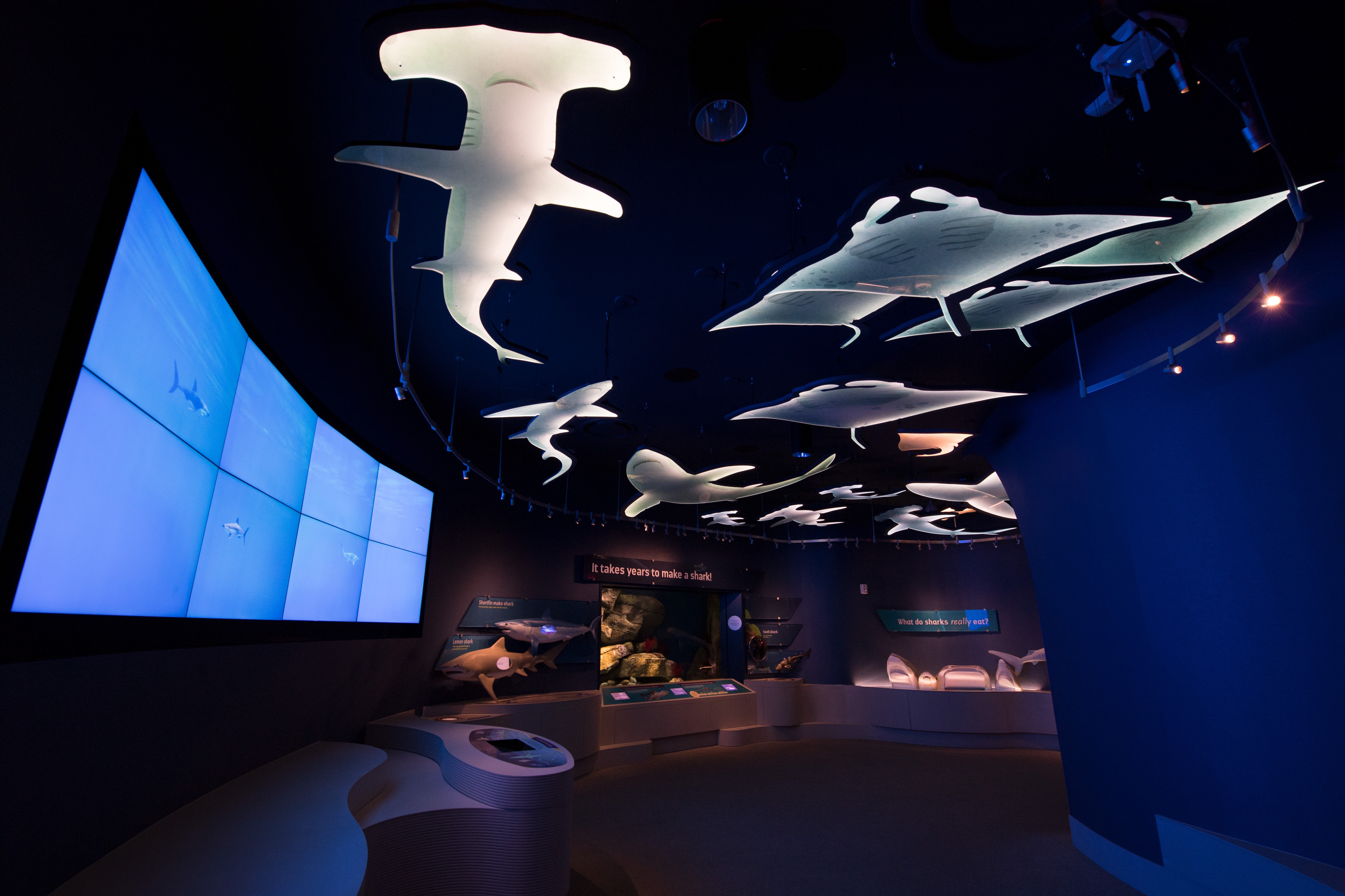 NY Aquarium Exhibit Hall